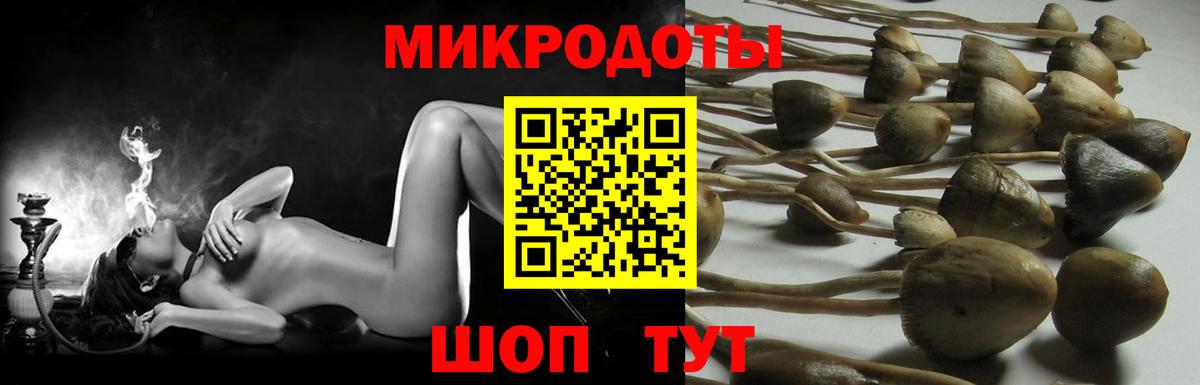 Псилоцибиновые грибы ЛСД Новокубанск