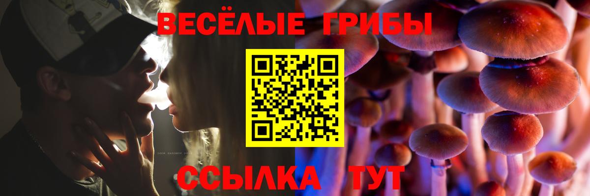 Псилоцибиновые грибы Psilocybine cubensis  Псилоцибиновые грибы прущие грибы  Новокубанск  Вход с VPN 